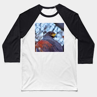 The Hawk Baseball T-Shirt